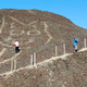 A closer view of the feline geoglyph, with workers for scale.